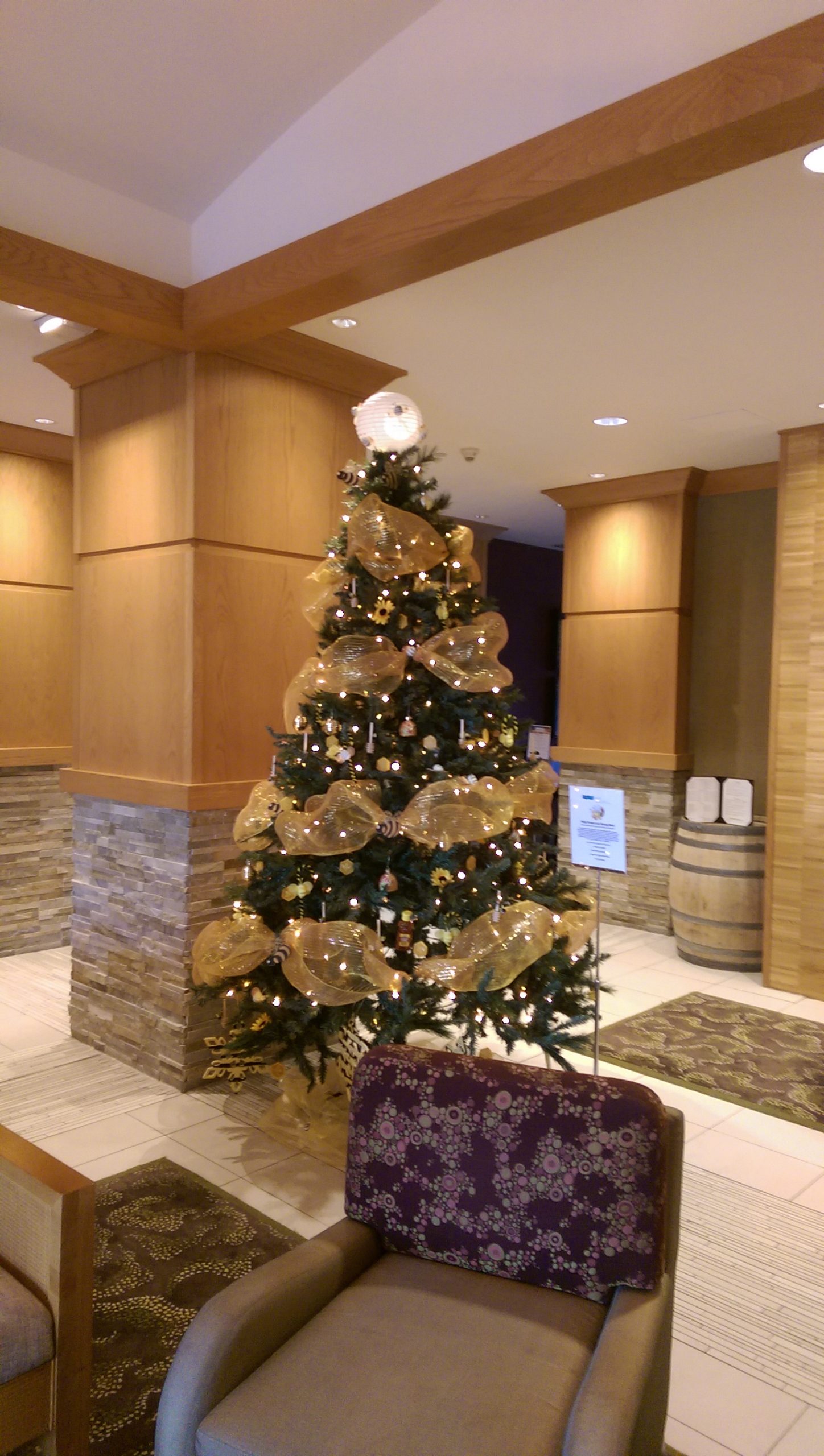 Festival of Trees