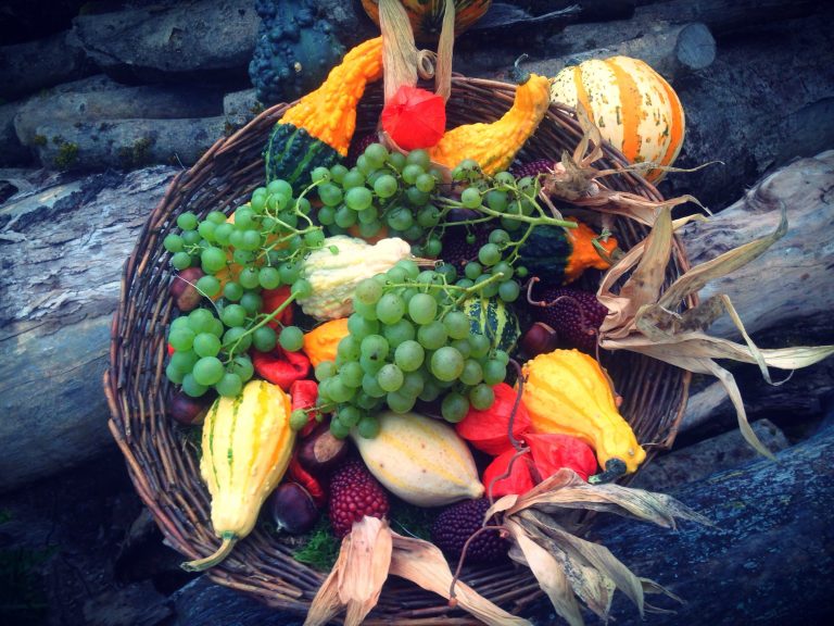 fall harvest basket