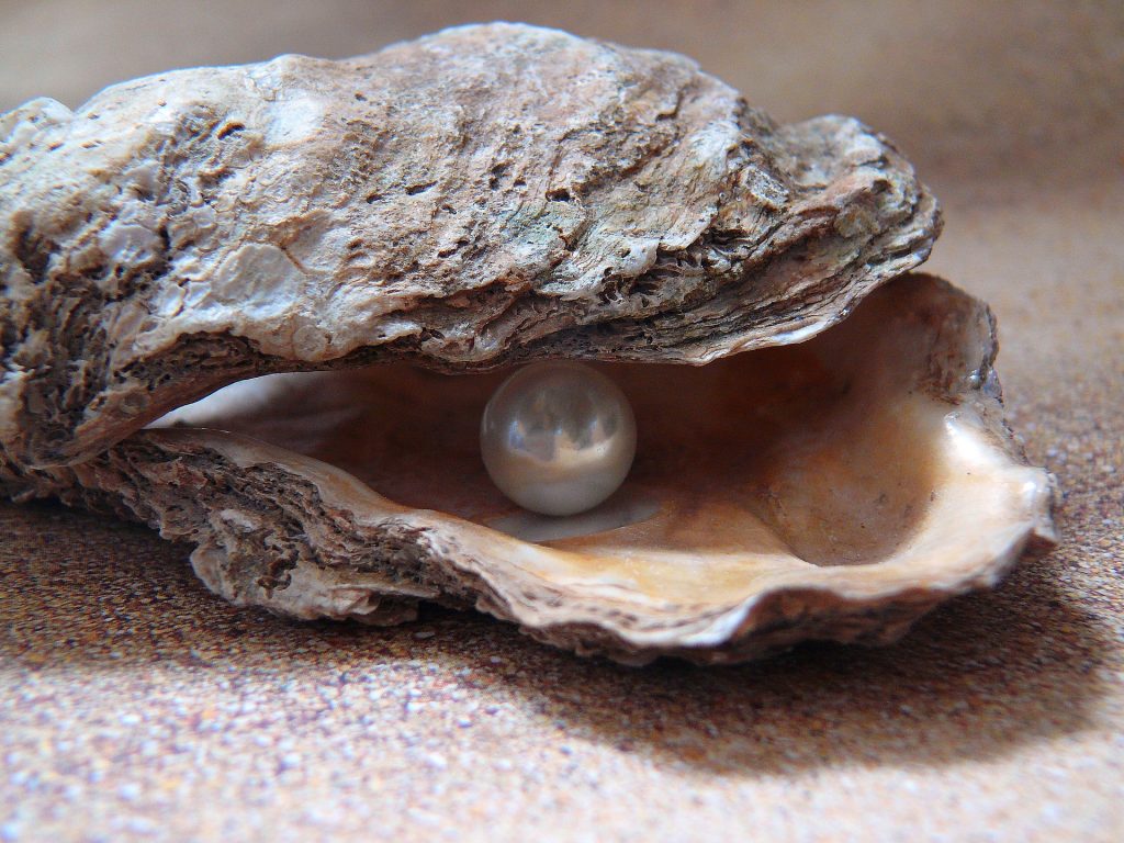 oyster with pearl