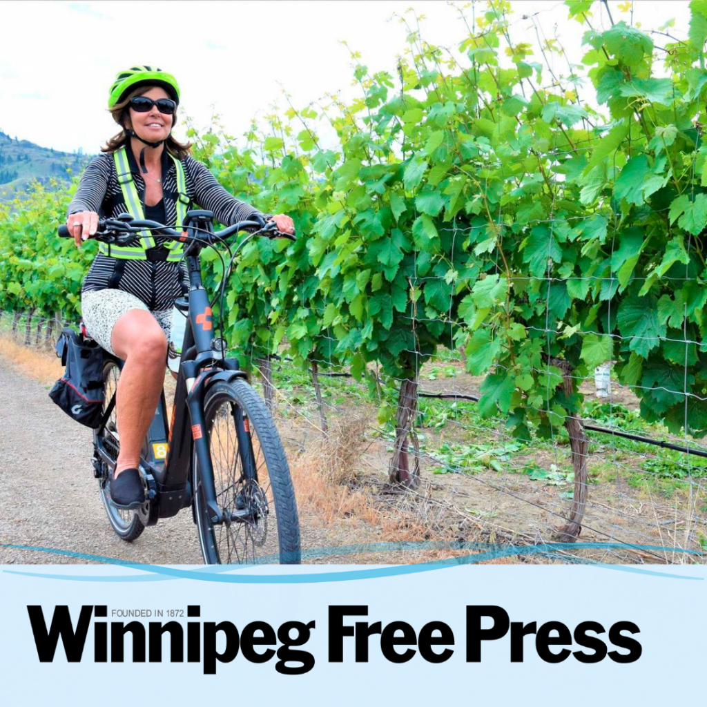 Osoyoos E-bike Safari - Nk'Mip Winery