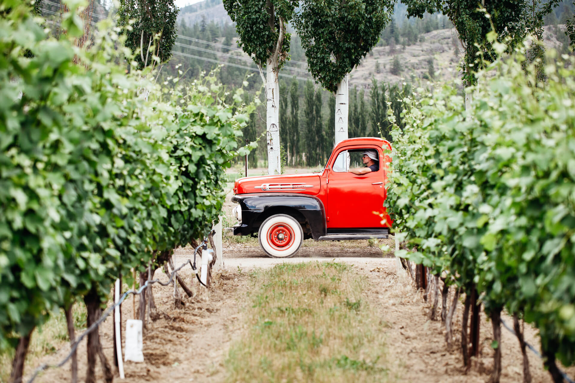 Red truck parked behind the vineyards of Covert Farms Winery.
