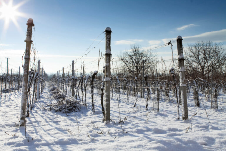 A blanket of snow over an Okanagan winery in the winter.