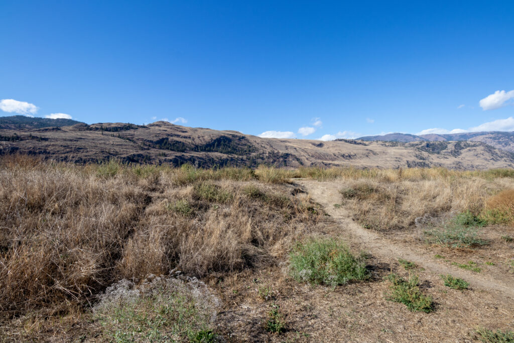 Osoyoos Hiking Oxbows Trail