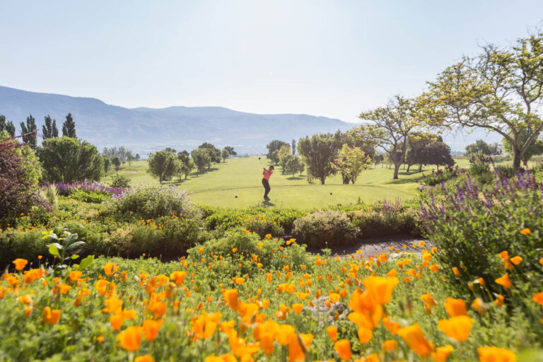 Okanagan Golf Course Main Image