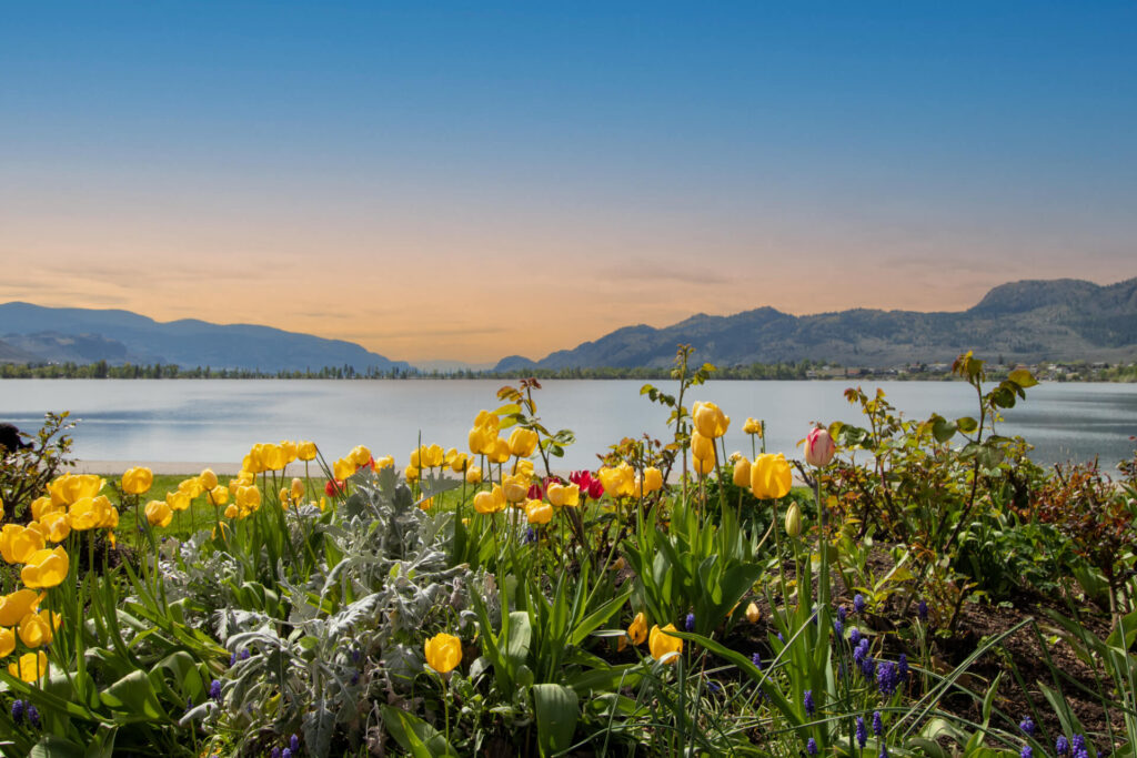 Create Lasting Memories In Osoyoos This Summer