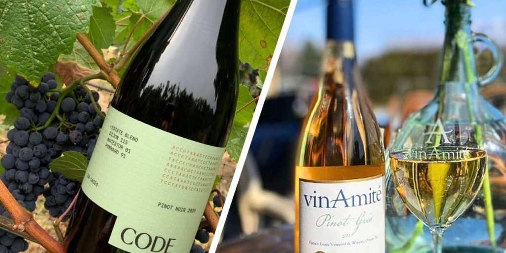 Watermark’s December Winter Wine Picks are 2022 Vin Amité Pinot Gris and Code Estate 2020 Pinot Noir Vintage