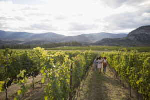 The BC wine industry stands together during challenging times