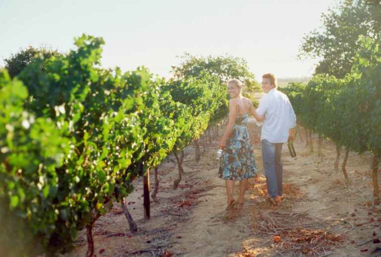 A young couple strolling through a vineyard