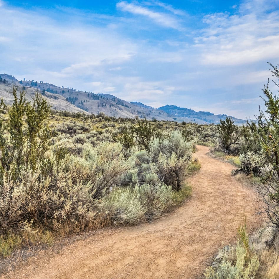 Sandy desert trail winding through sagebrush and arid hills near Osoyoos BC