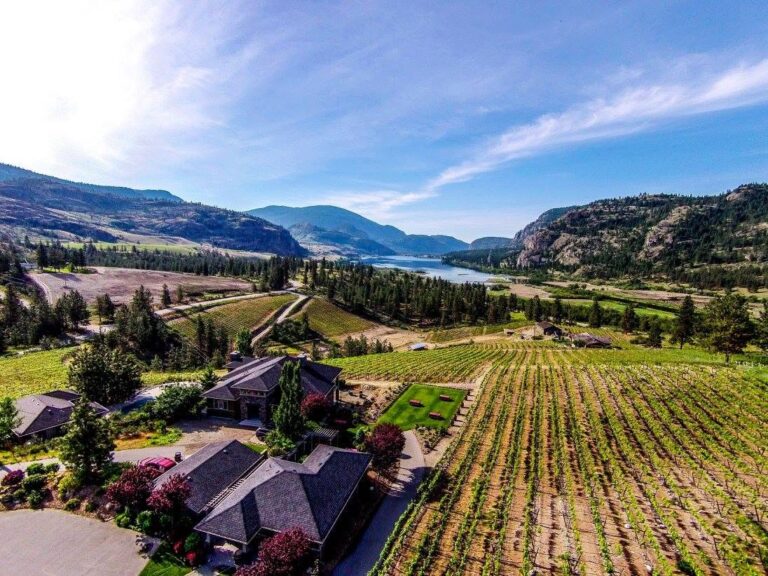 Noble Ridge Vineyard & Winery Overlooking Okanagan Falls Landscape
