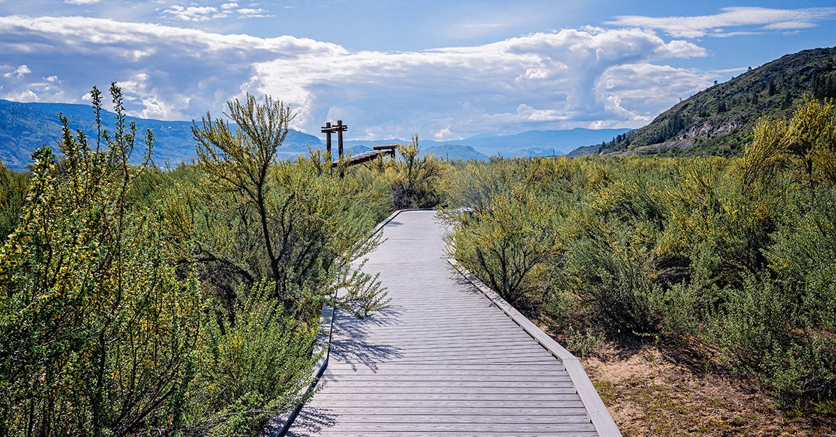 Osoyoos Desert Centre Walkway