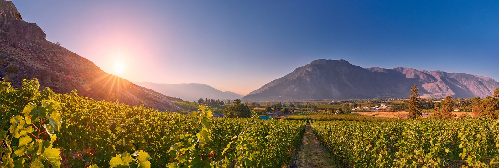 Sunrise over the Clos du Soleil estate vineyard in the South Similkameen Valley