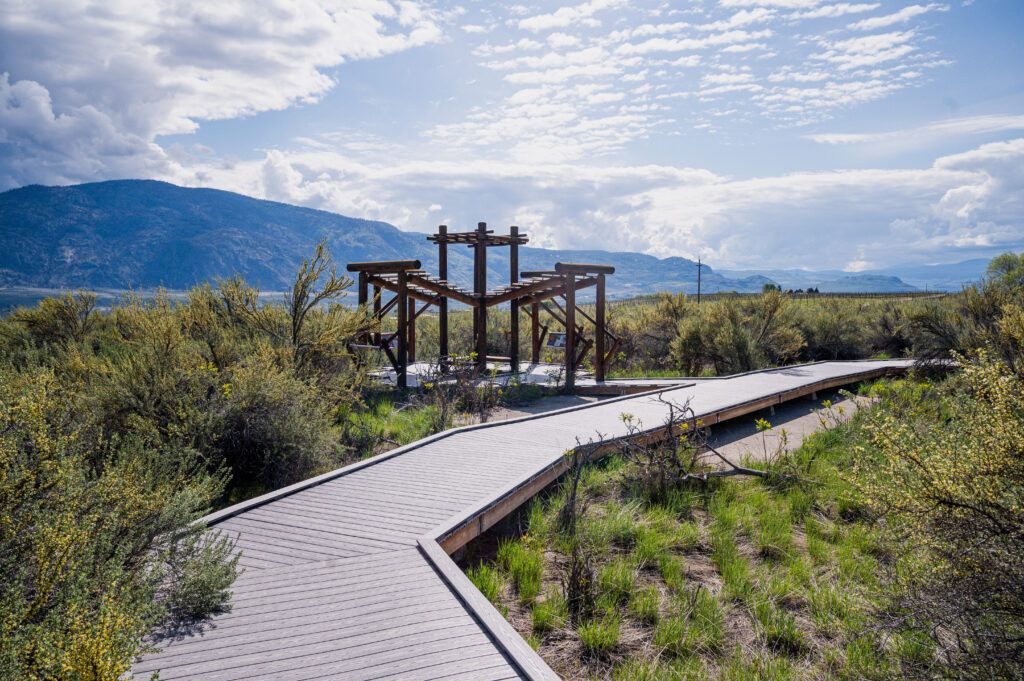 Boardwalk winding through sagebrush and antelope-brush at the Osoyoos Desert Centre
