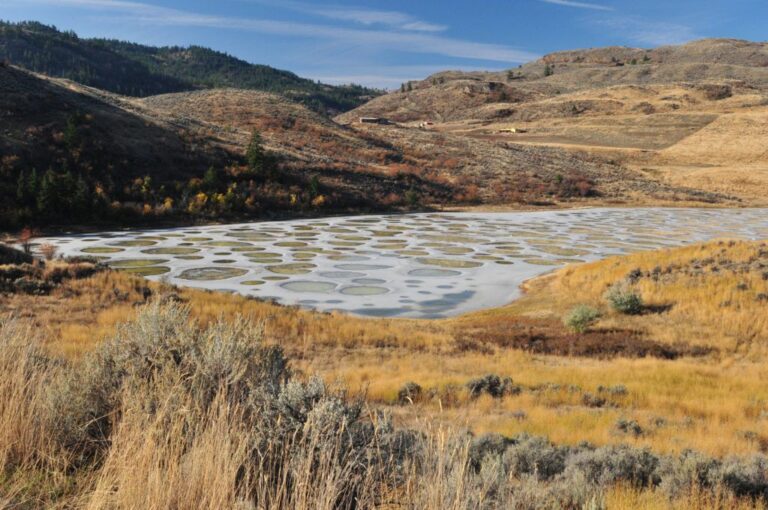 Spotted Lake (kłlilx’w) near Osoyoos with its polka-dot mineral pools