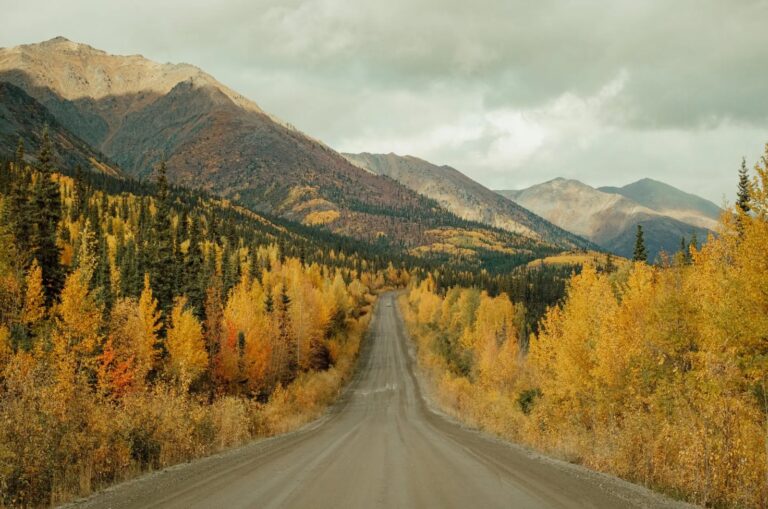 A scenic BC highway winding through the mountains in fall