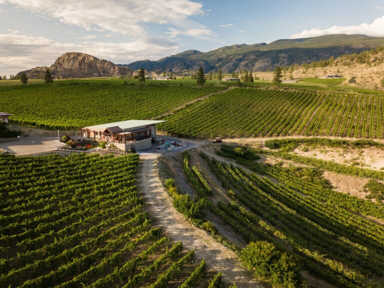 Stag’s Hollow Estate Vineyard